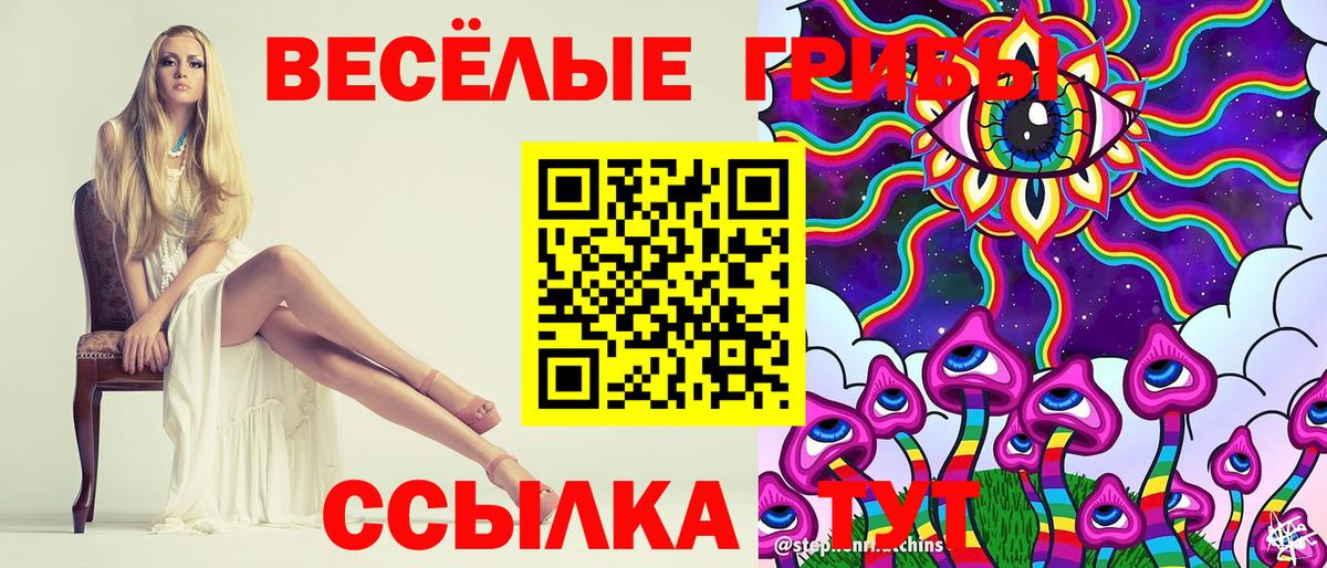 Саранск  купить наркотик  Вход с VPN  Псилоцибиновые грибы мухоморы 