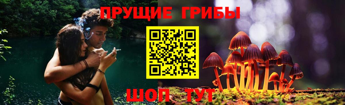 Галлюциногенные грибы мухоморы Саранск